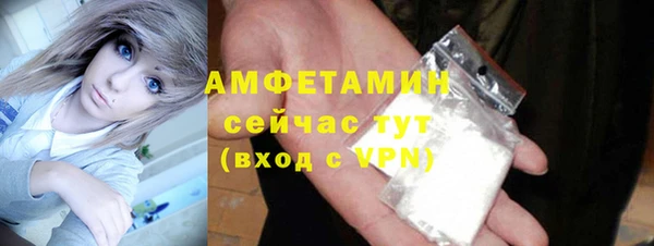 винт Абаза
