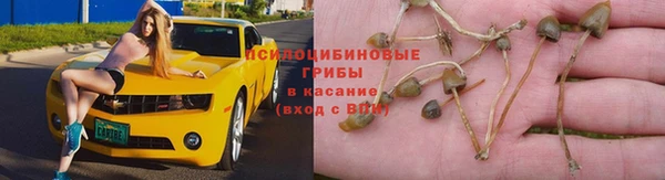 не бодяженный Абинск