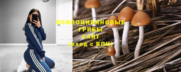 винт Абаза