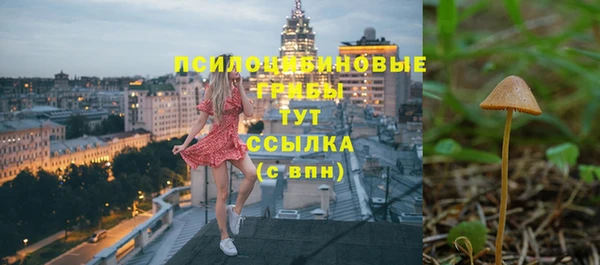 винт Абаза