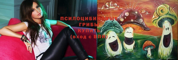 винт Абаза